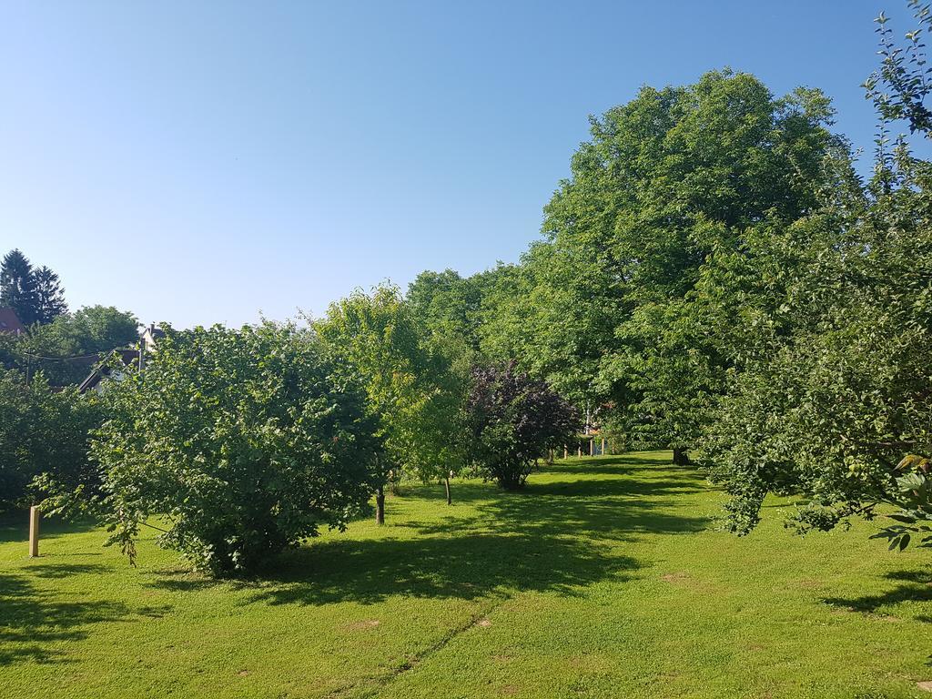 House Wisteria Villa Rakovica Dış mekan fotoğraf