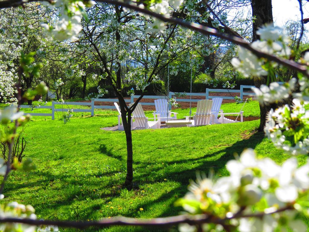House Wisteria Villa Rakovica Dış mekan fotoğraf